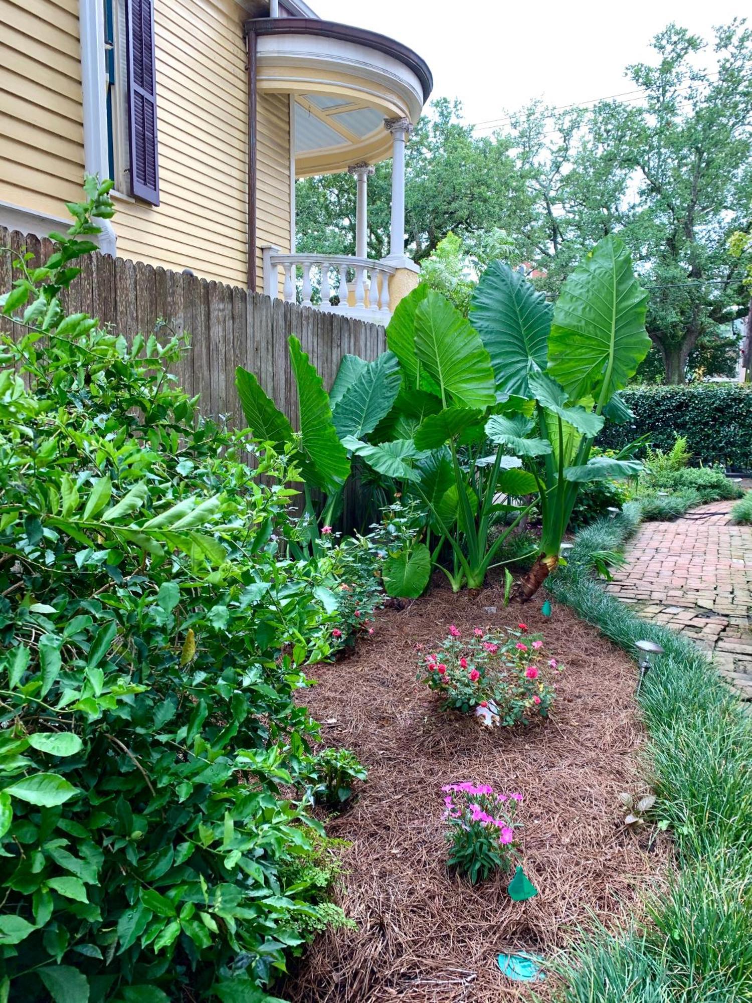 French Quarter Lanaux Mansion Bed And Breakfast New Orleans Cameră foto